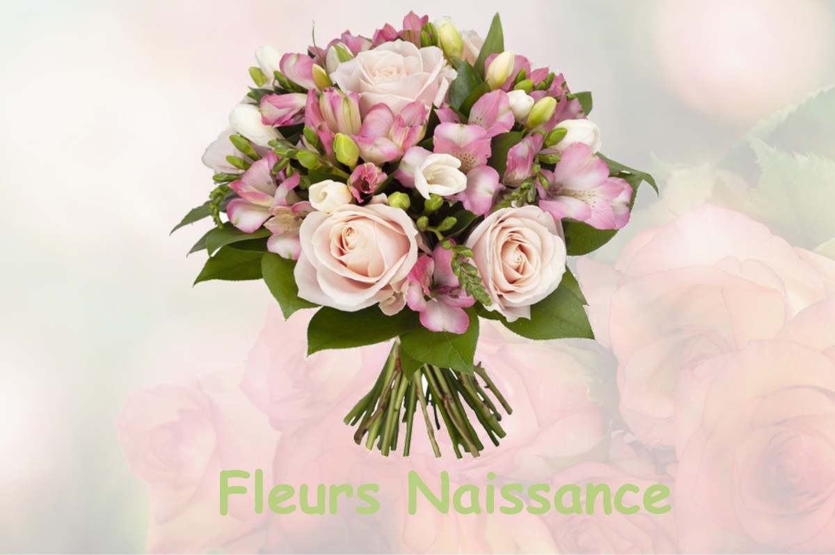 fleurs naissance NOGENT-L-ABBESSE