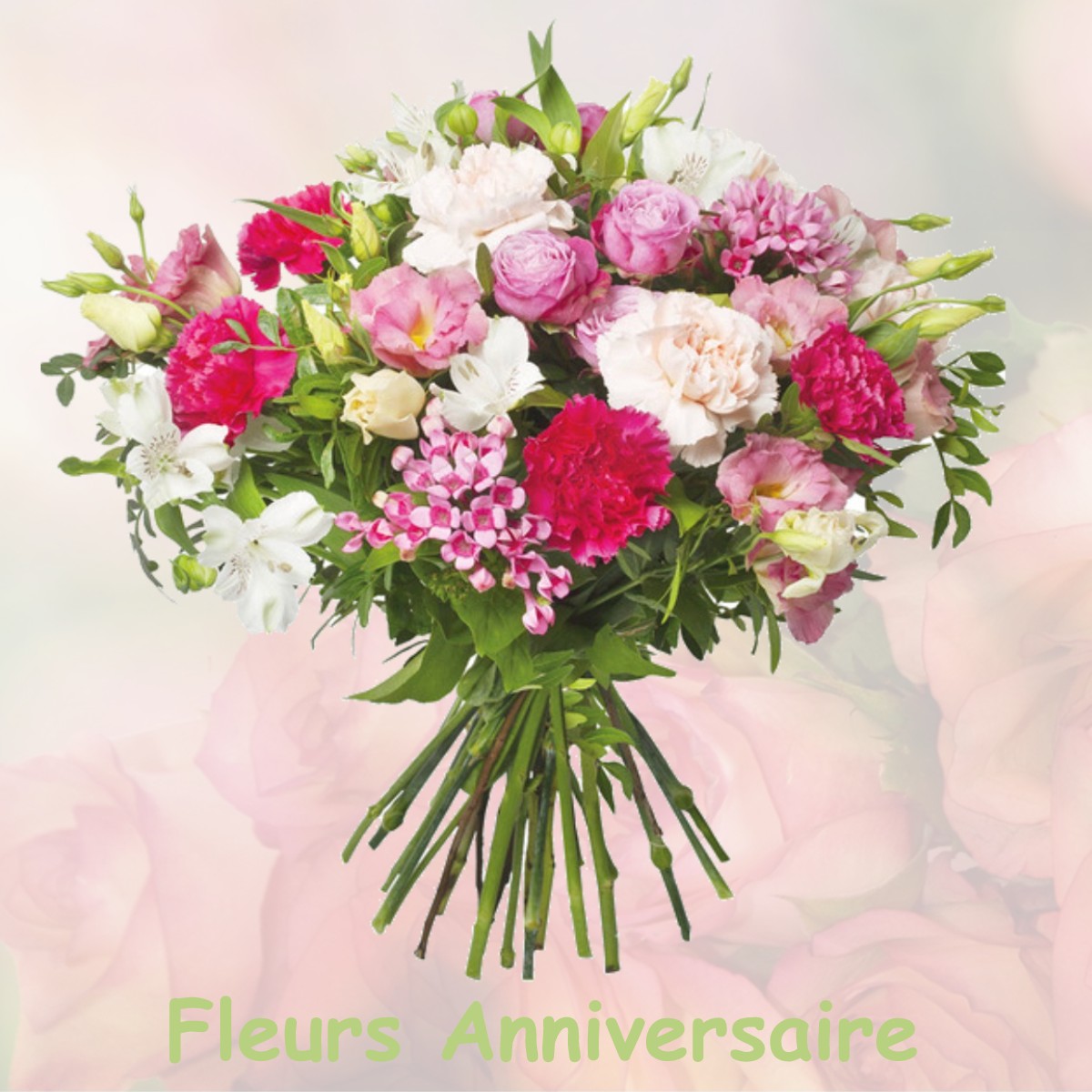 fleurs anniversaire NOGENT-L-ABBESSE